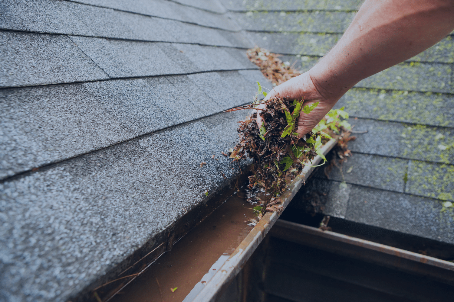 best tool for cleaning dirty gutters