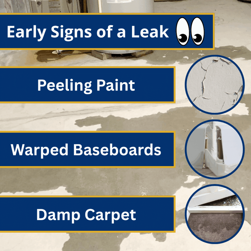 early signs of a leak in a basement or crawl space