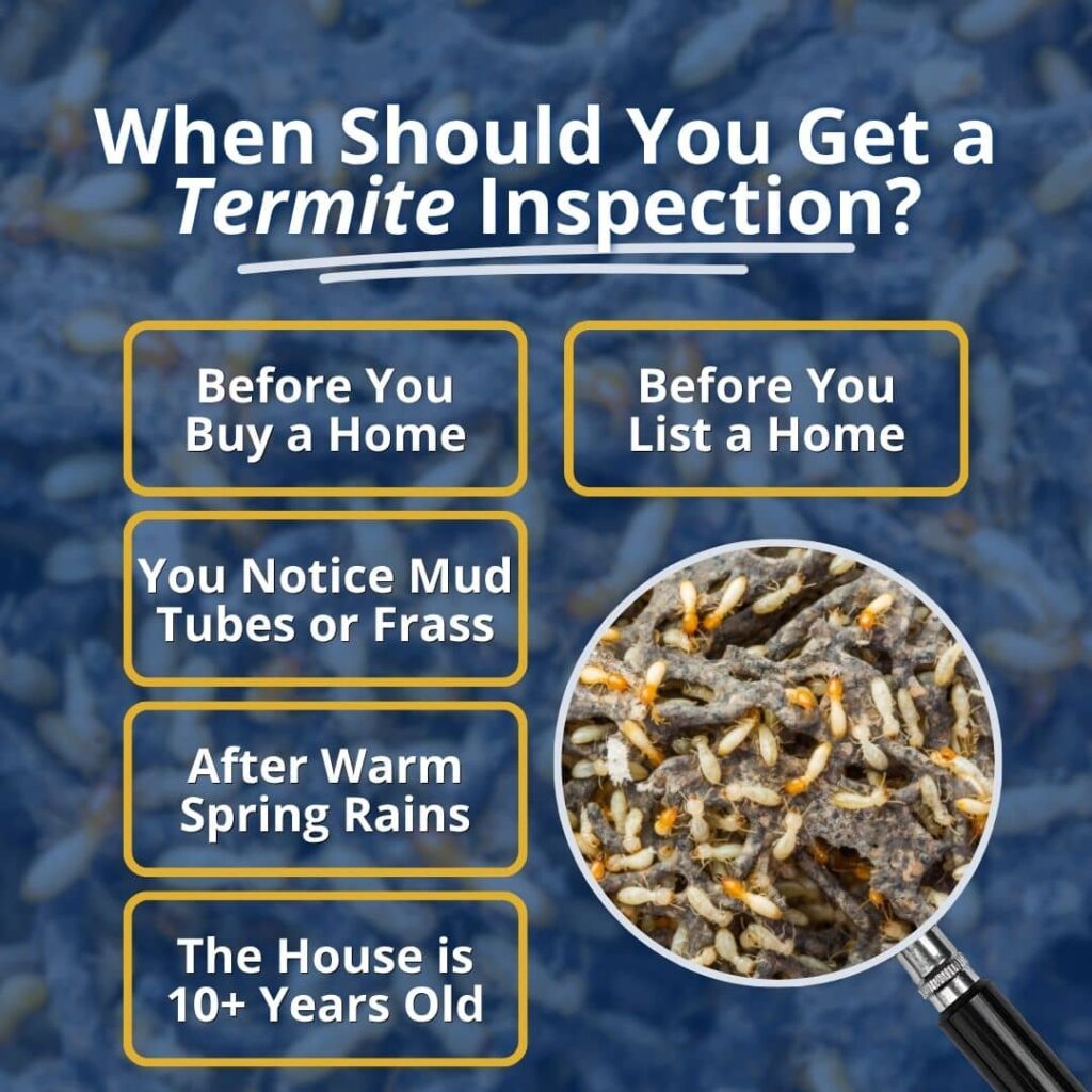 Infographic with a checklist detailing the 5 situations that require a house termite inspection, such as buying/selling a home or spotting mud tubes, viewed through a magnifying glass.