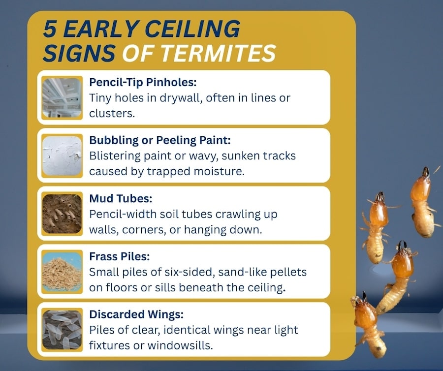 An infographic titled "5 Early Ceiling Signs of Termites" listing key warning indicators—pencil-tip pinholes, bubbling paint, mud tubes, frass piles, and discarded wings—alongside illustrative thumbnails and termite graphics.