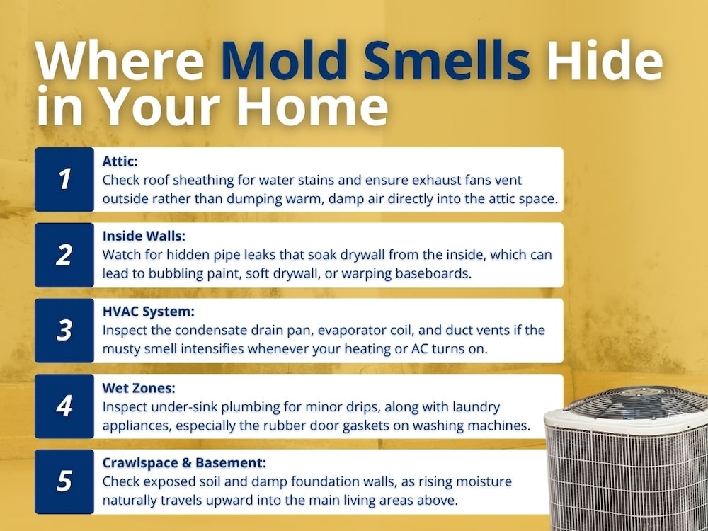 An infographic titled "Where Mold Smells Hide in Your Home" listing five key areas to inspect when investigating what does black mold smell like.